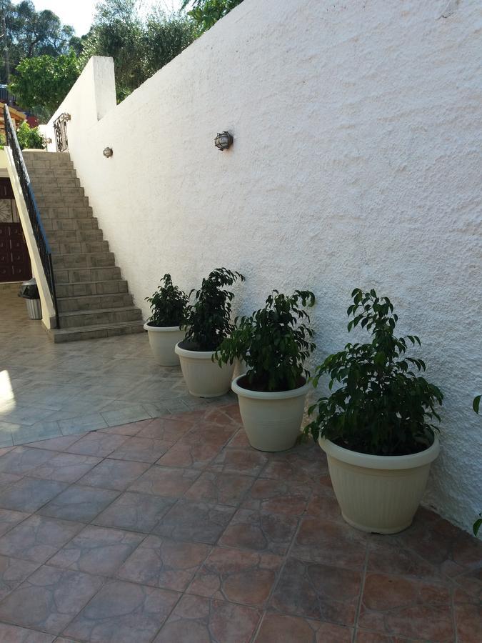 Apartment Tsanis